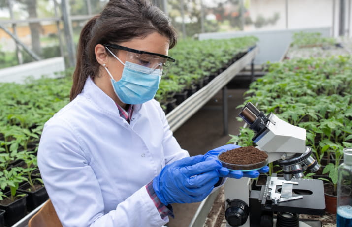 5 Diverse Careers In Agriculture Open Universities Australia   Soil Scientist 